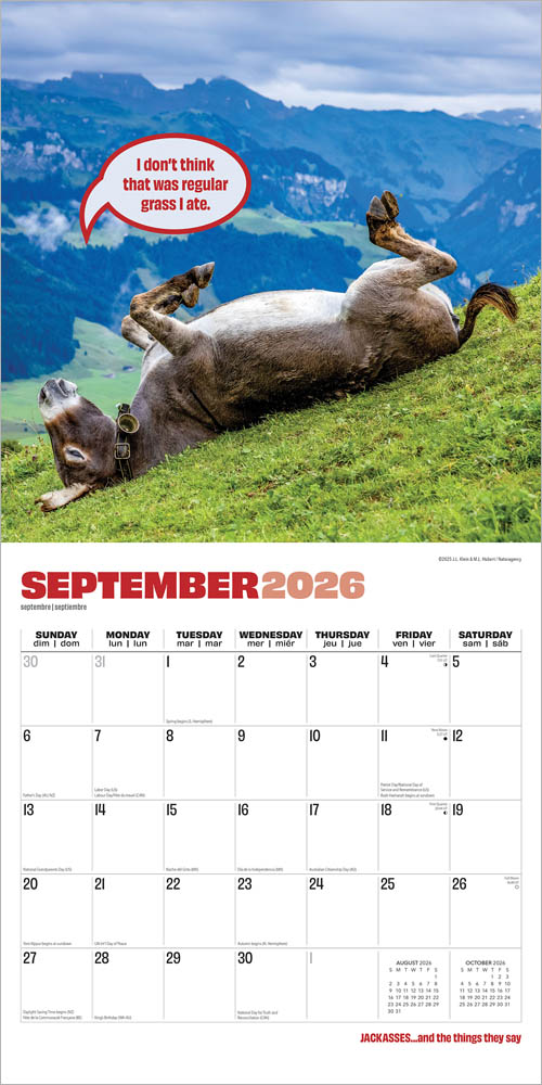 Jackasses | 2026 12 x 24 Inch (Hanging) Monthly Square Wall Calendar
