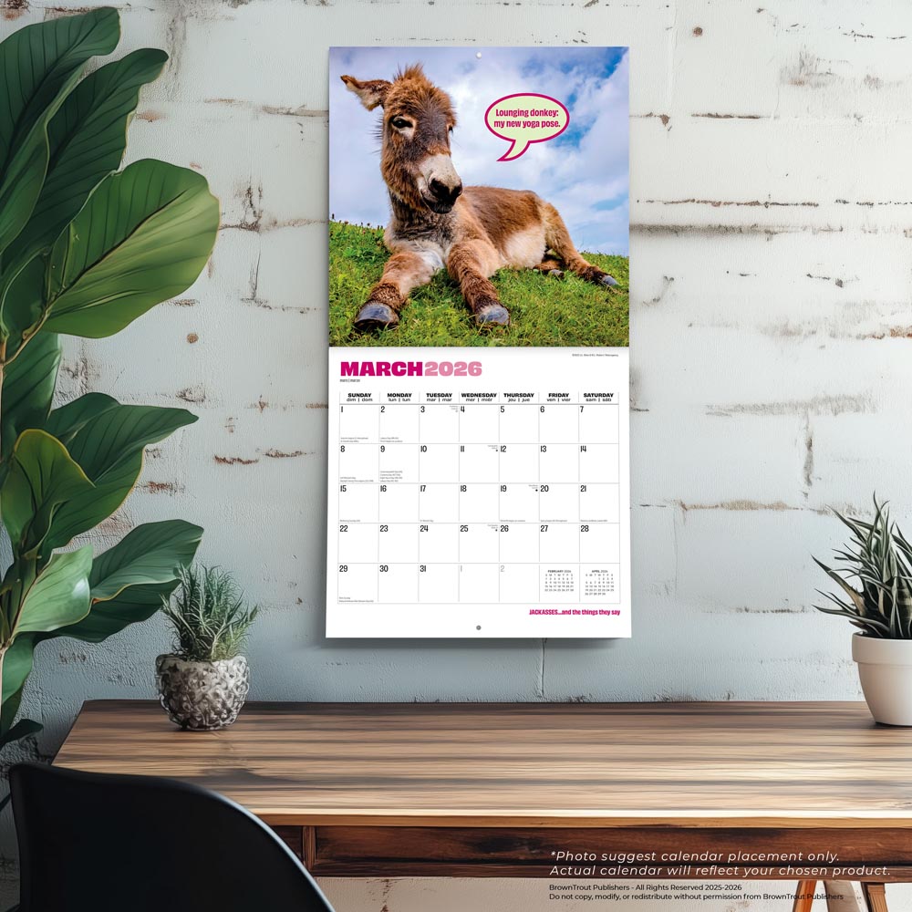 Jackasses | 2026 12 x 24 Inch (Hanging) Monthly Square Wall Calendar