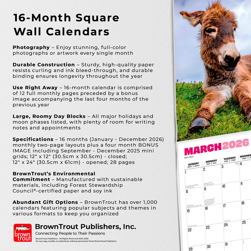 Jackasses | 2026 12 x 24 Inch (Hanging) Monthly Square Wall Calendar