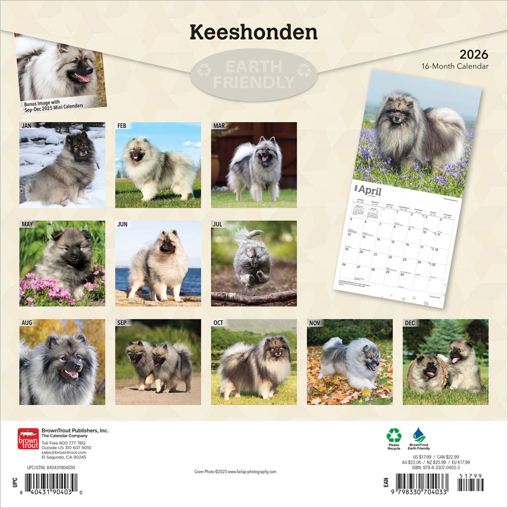 Keeshonden | 2026 12 x 24 Inch (Hanging) Monthly Square Wall Calendar