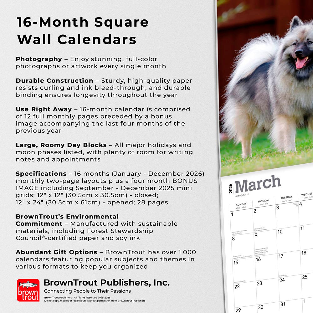 Keeshonden | 2026 12 x 24 Inch (Hanging) Monthly Square Wall Calendar
