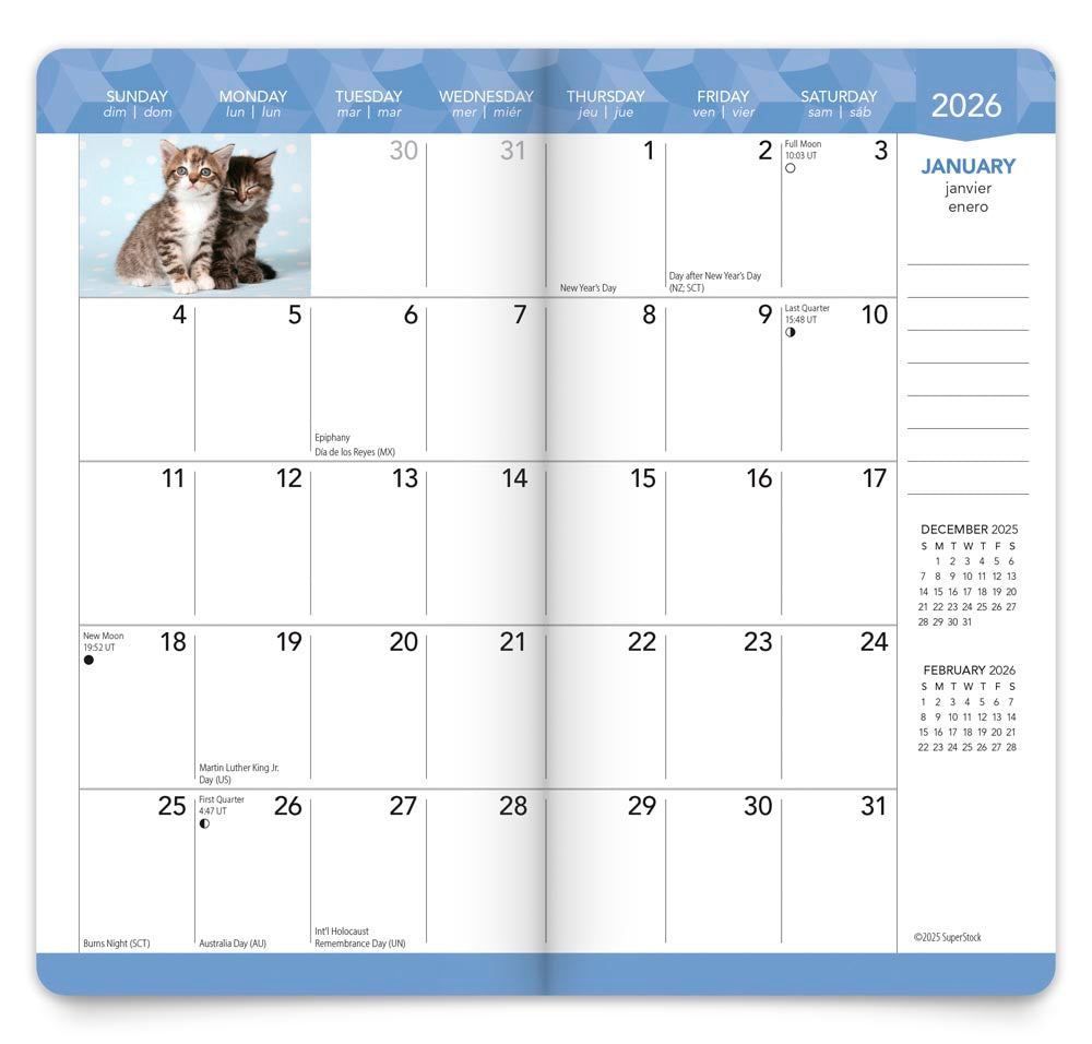 Kitten Cuddles | 2026-2027 3.5 x 6.5 Inch Two Year Monthly Pocket Planner Calendar