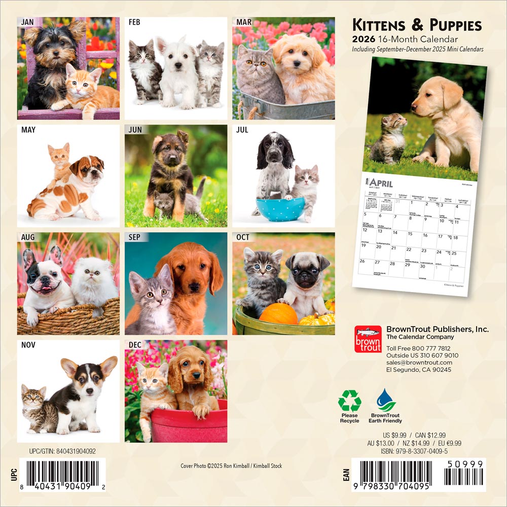 Kittens & Puppies | 2026 7 x 14 Inch (Hanging) Monthly Mini Wall Calendar