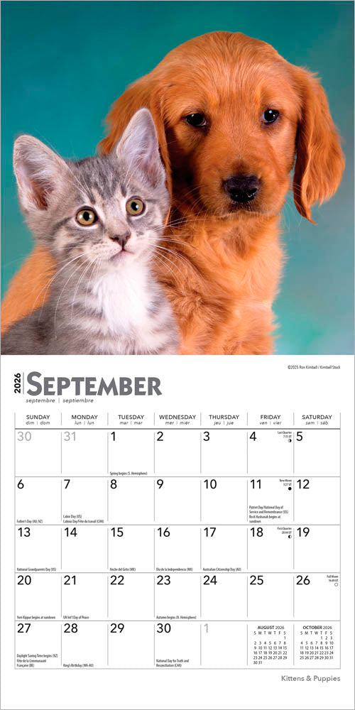 Kittens & Puppies | 2026 7 x 14 Inch (Hanging) Monthly Mini Wall Calendar