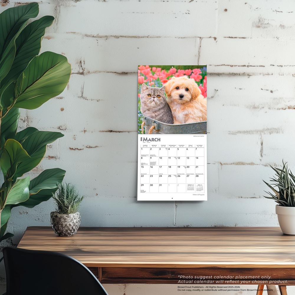 Kittens & Puppies | 2026 7 x 14 Inch (Hanging) Monthly Mini Wall Calendar