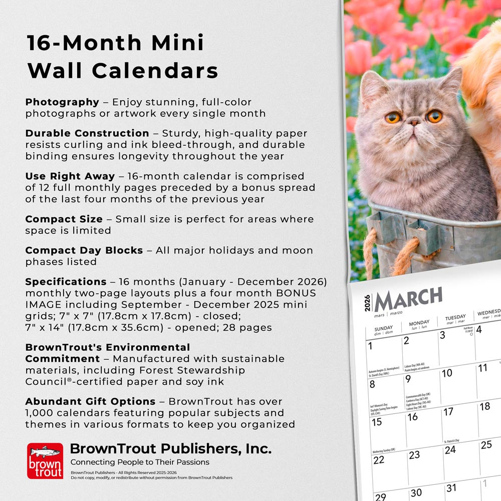 Kittens & Puppies | 2026 7 x 14 Inch (Hanging) Monthly Mini Wall Calendar