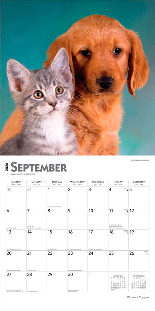Kittens & Puppies | 2026 12 x 24 Inch (Hanging) Monthly Square Wall Calendar | Foil Stamped Cover