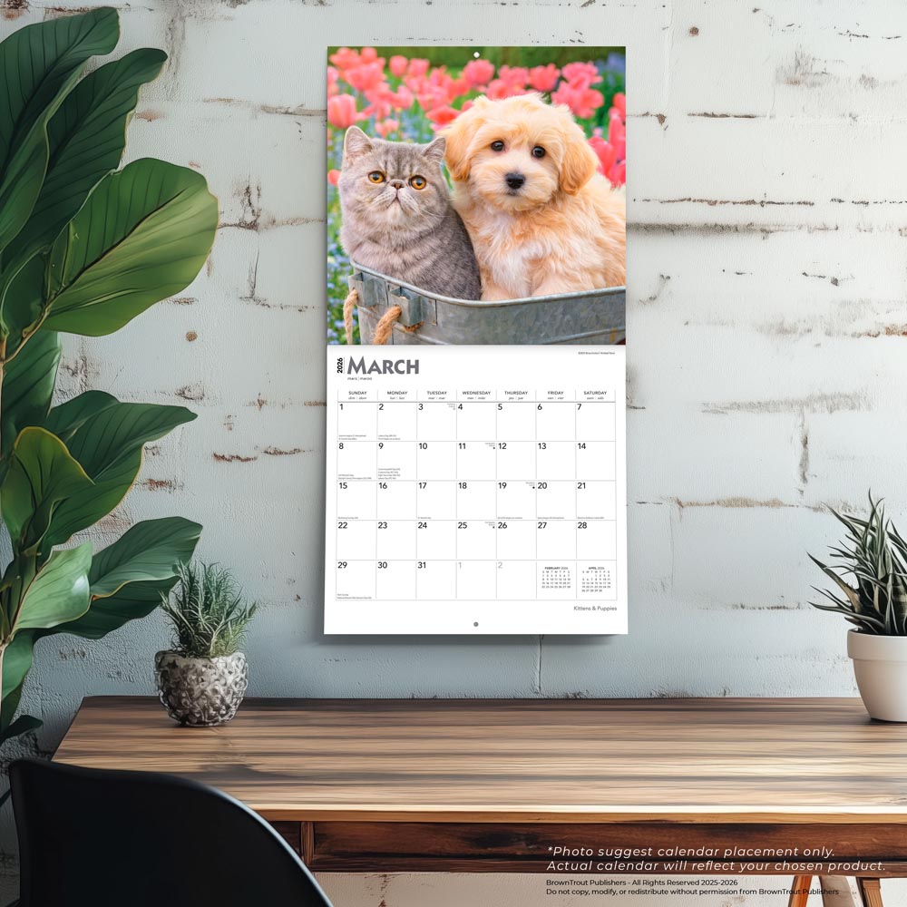 Kittens & Puppies | 2026 12 x 24 Inch (Hanging) Monthly Square Wall Calendar | Foil Stamped Cover