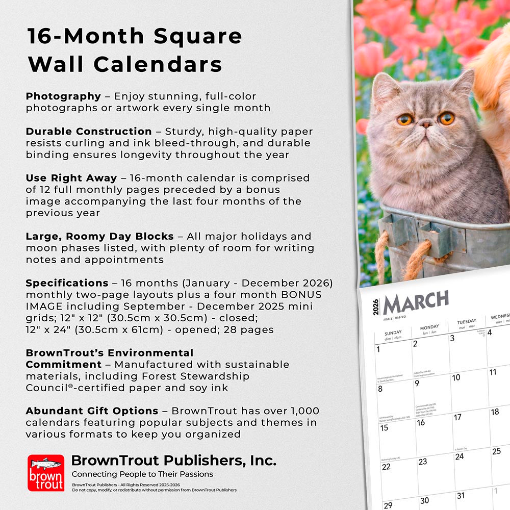 Kittens & Puppies | 2026 12 x 24 Inch (Hanging) Monthly Square Wall Calendar | Foil Stamped Cover