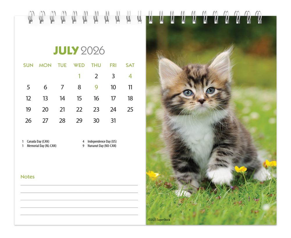 Kittens | 2026 7.5 x 6 Inch Monthly Double-View Easel Desk Calendar