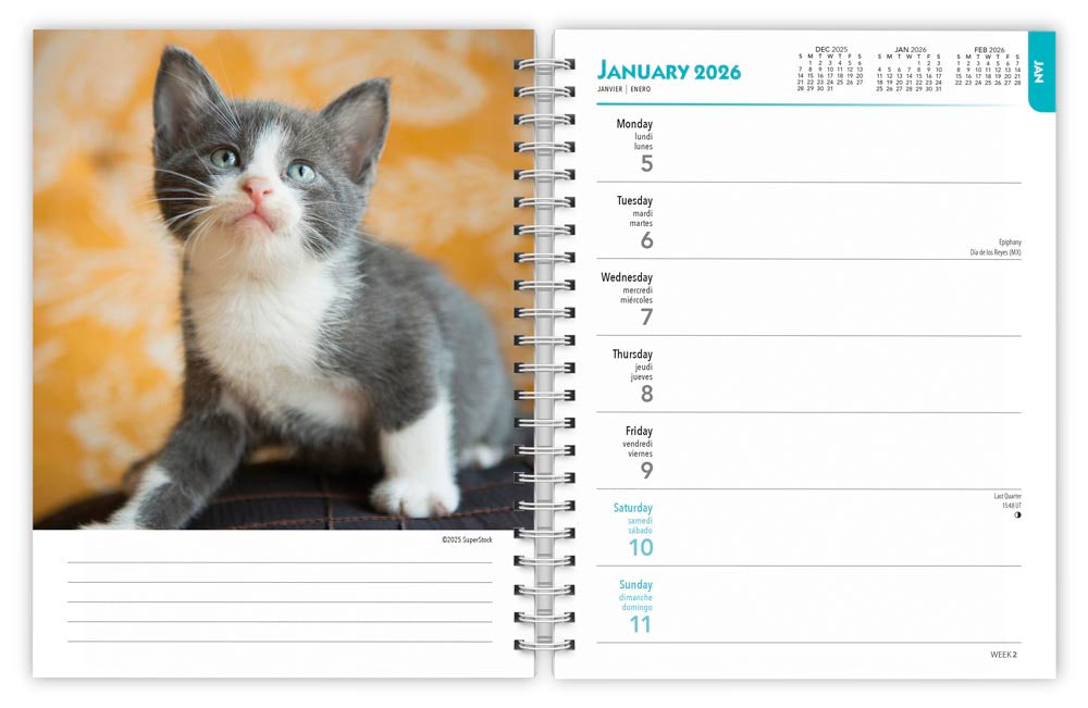 Kittens | 2026 6 x 7.75 Inch Spiral-Bound Wire-O Weekly Engagement Planner Calendar | New Full-Color Image Every Week