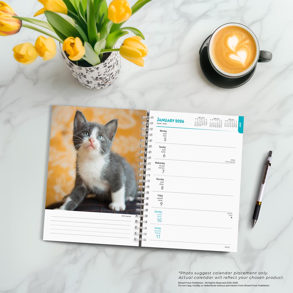 Kittens | 2026 6 x 7.75 Inch Spiral-Bound Wire-O Weekly Engagement Planner Calendar | New Full-Color Image Every Week