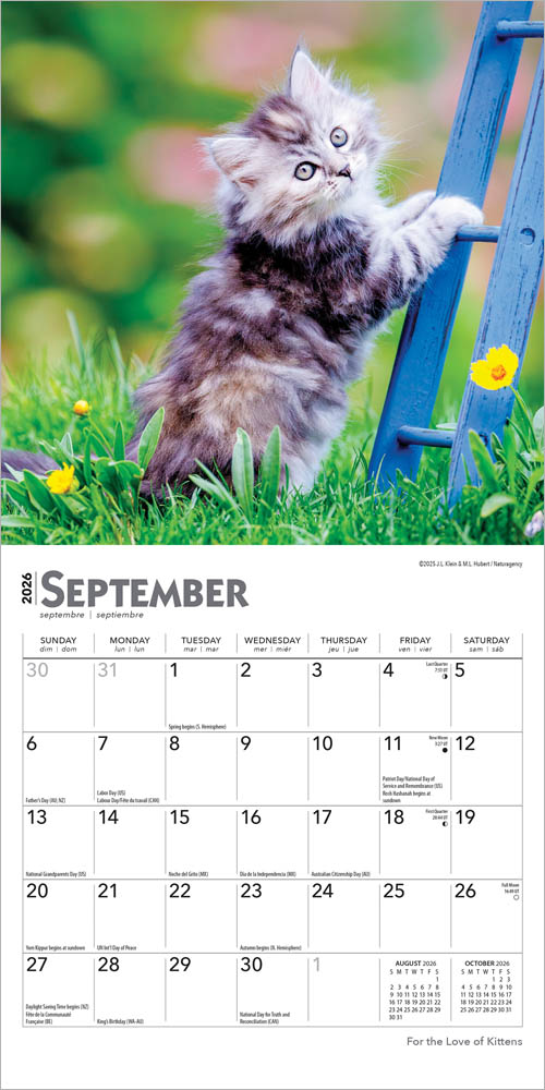 For the Love of Kittens | 2026 7 x 14 Inch (Hanging) Monthly Mini Wall Calendar