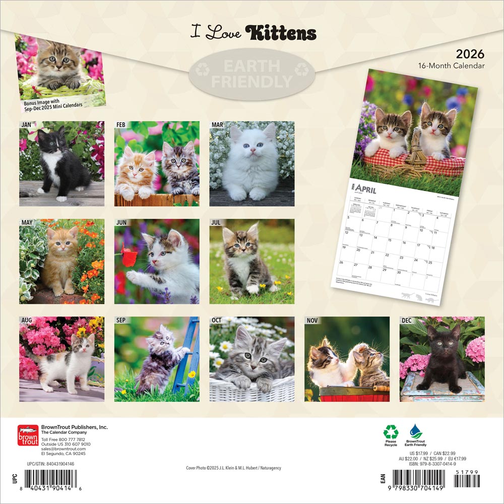 I Love Kittens | 2026 12 x 24 Inch (Hanging) Monthly Square Wall Calendar