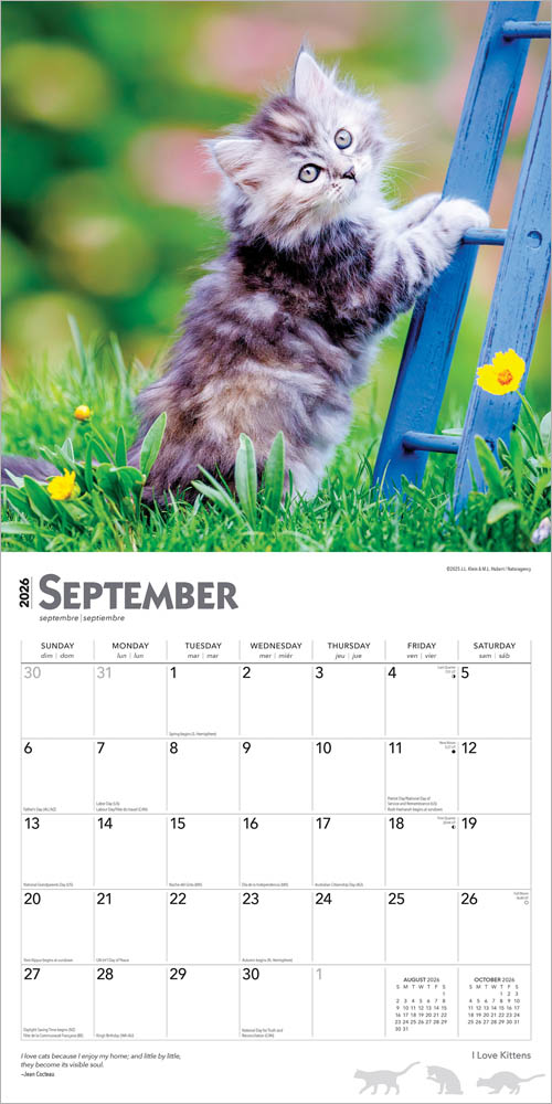 I Love Kittens | 2026 12 x 24 Inch (Hanging) Monthly Square Wall Calendar