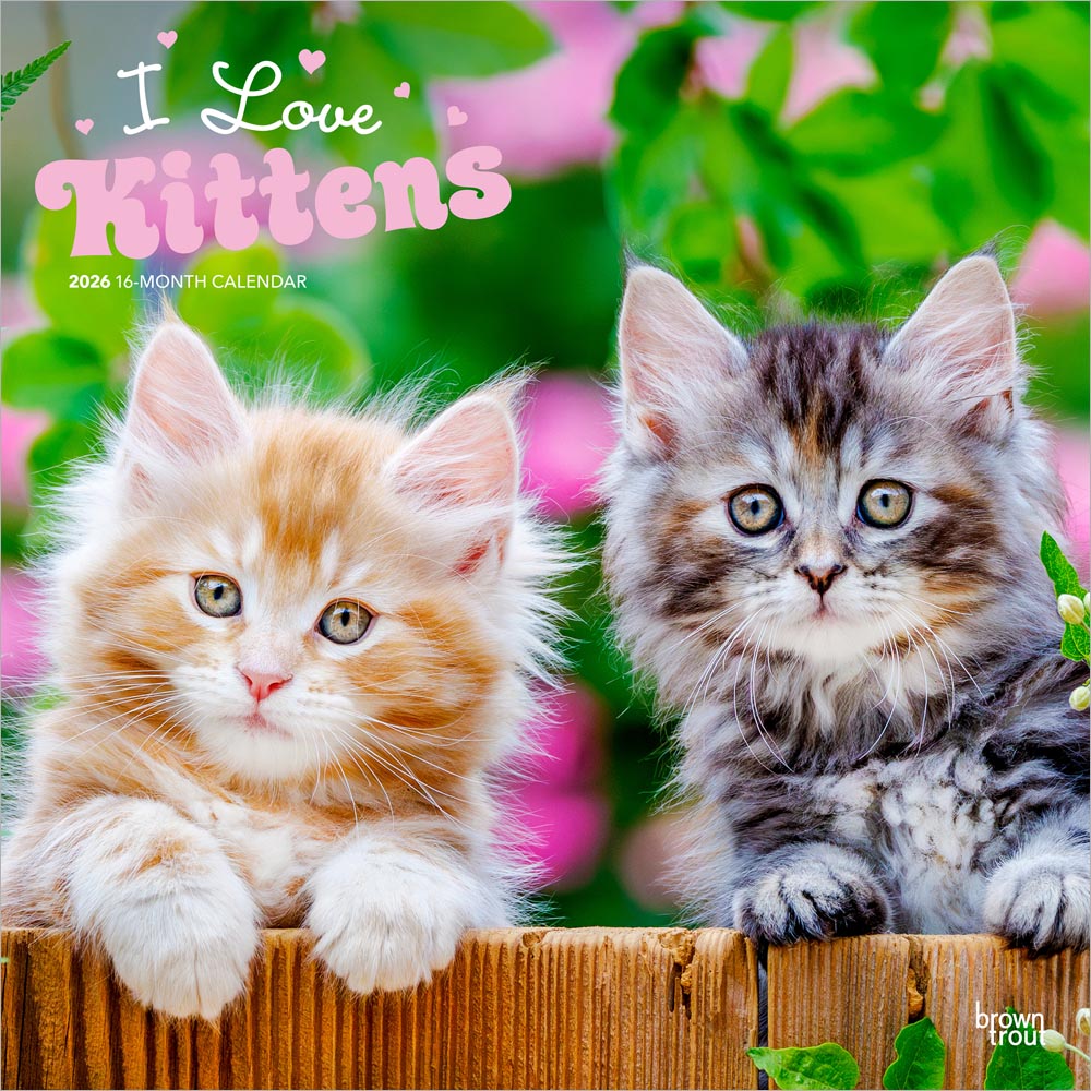 I Love Kittens | 2026 12 x 24 Inch (Hanging) Monthly Square Wall Calendar