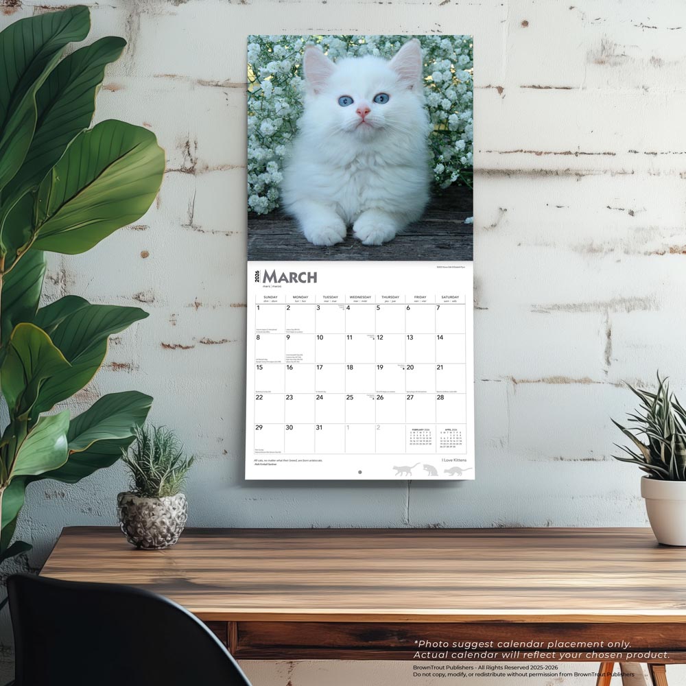 I Love Kittens | 2026 12 x 24 Inch (Hanging) Monthly Square Wall Calendar