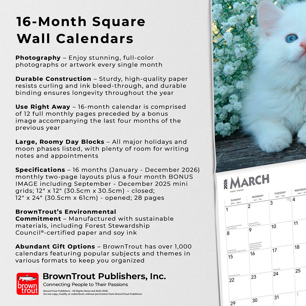I Love Kittens | 2026 12 x 24 Inch (Hanging) Monthly Square Wall Calendar