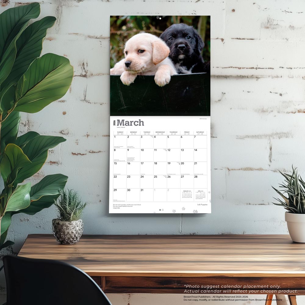 Labrador Retriever Puppies | 2026 12 x 24 Inch (Hanging) Monthly Square Wall Calendar