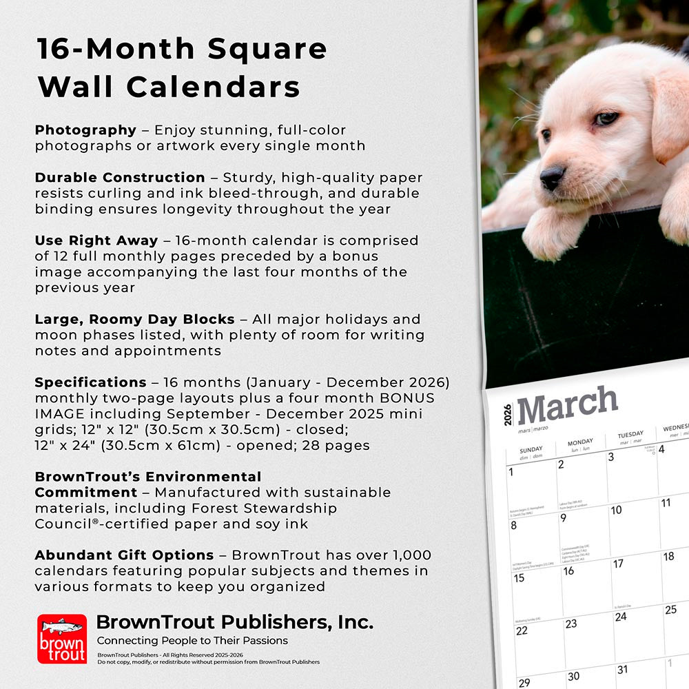 Labrador Retriever Puppies | 2026 12 x 24 Inch (Hanging) Monthly Square Wall Calendar
