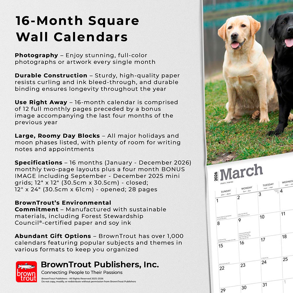 Labrador Retrievers | 2026 12 x 24 Inch (Hanging) Monthly Square Wall Calendar