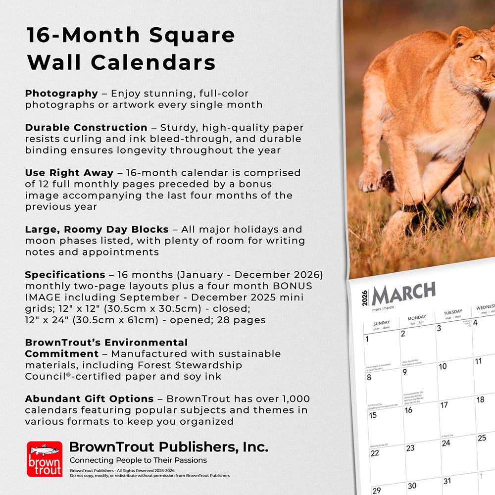 Lions | 2026 12 x 24 Inch (Hanging) Monthly Square Wall Calendar