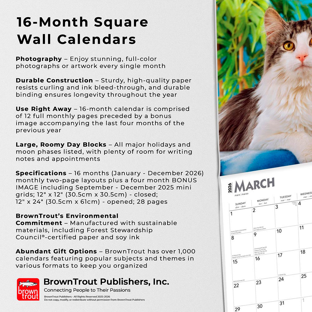 Maine Coon Cats | 2026 12 x 24 Inch (Hanging) Monthly Square Wall Calendar
