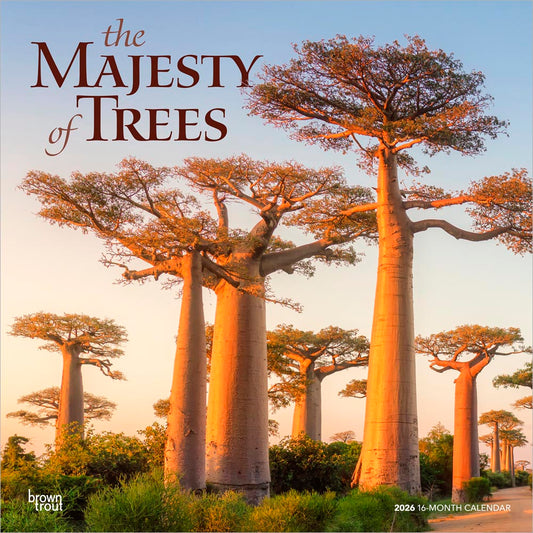 The Majesty of Trees | 2026 12 x 24 Inch (Hanging) Monthly Square Wall Calendar