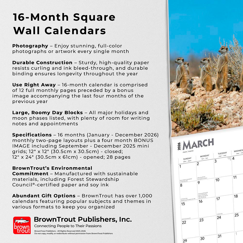 Meerkats | 2026 12 x 24 Inch (Hanging) Monthly Square Wall Calendar