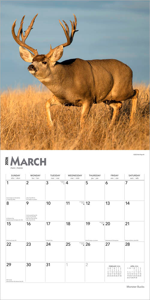Monster Bucks | 2026 12 x 24 Inch (Hanging) Monthly Square Wall Calendar