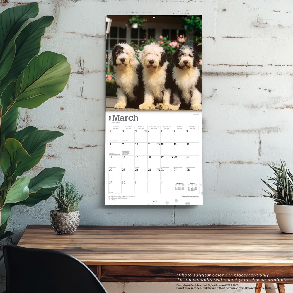 Old English Sheepdogs | 2026 12 x 24 Inch (Hanging) Monthly Square Wall Calendar