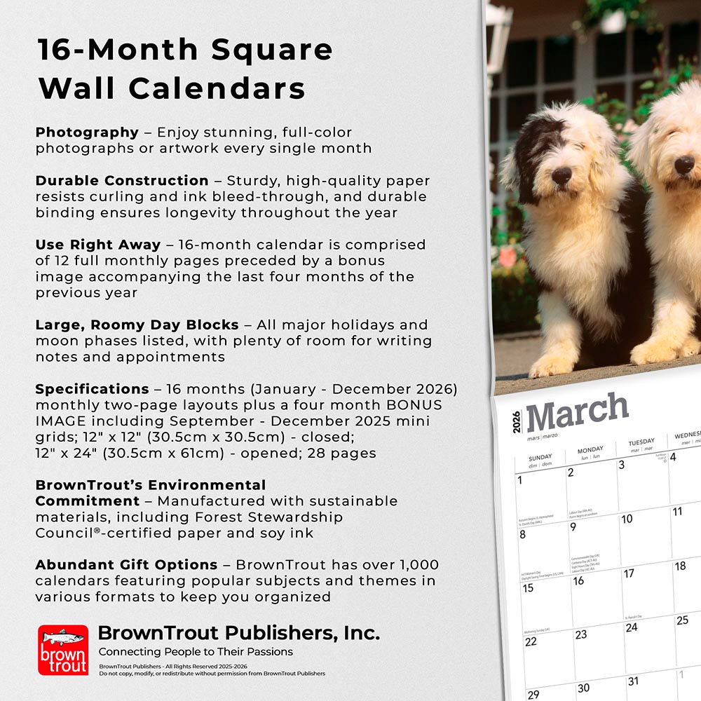 Old English Sheepdogs | 2026 12 x 24 Inch (Hanging) Monthly Square Wall Calendar