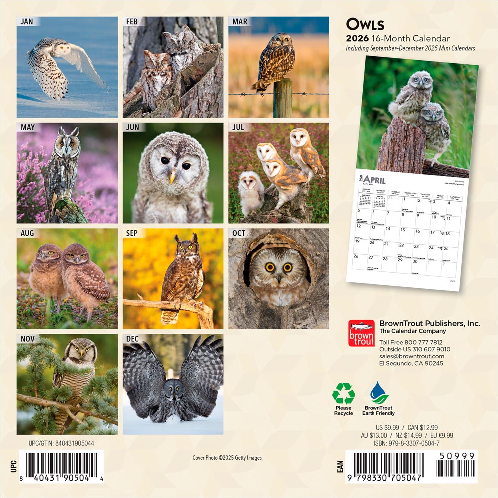 Owls | 2026 7 x 14 Inch (Hanging) Monthly Mini Wall Calendar