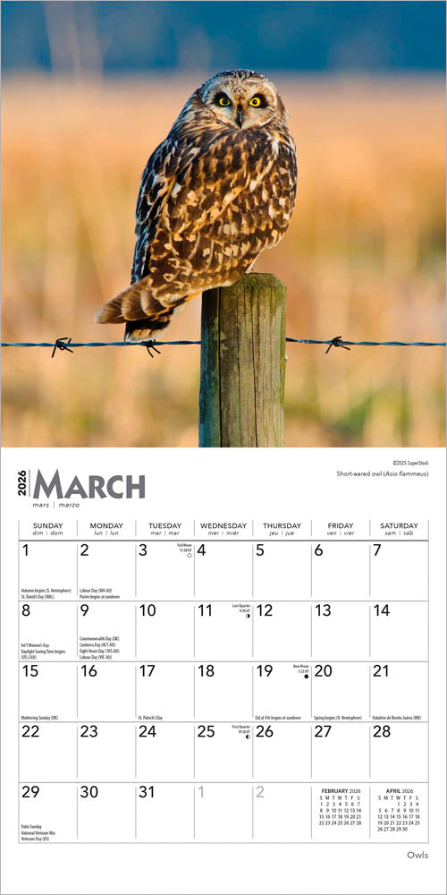 Owls | 2026 7 x 14 Inch (Hanging) Monthly Mini Wall Calendar