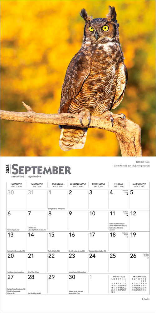 Owls | 2026 7 x 14 Inch (Hanging) Monthly Mini Wall Calendar