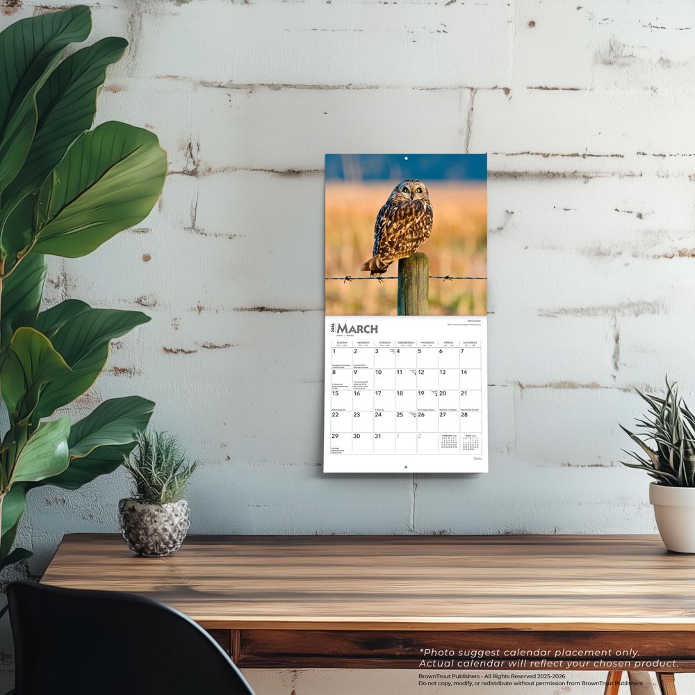 Owls | 2026 7 x 14 Inch (Hanging) Monthly Mini Wall Calendar