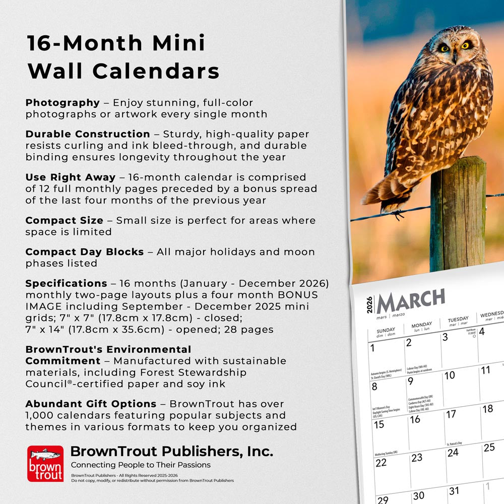 Owls | 2026 7 x 14 Inch (Hanging) Monthly Mini Wall Calendar