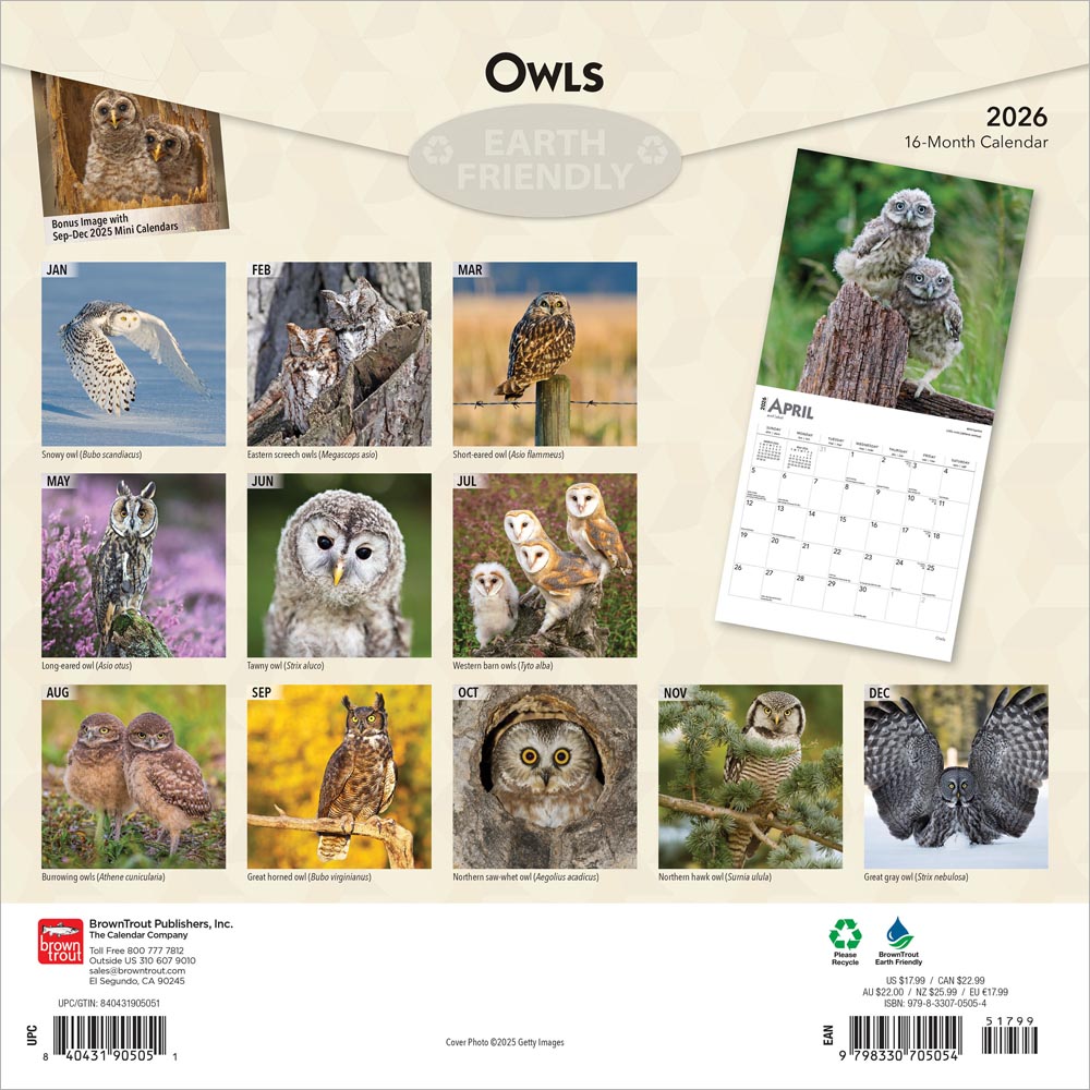 Owls | 2026 12 x 24 Inch (Hanging) Monthly Square Wall Calendar