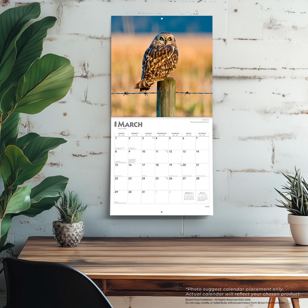 Owls | 2026 12 x 24 Inch (Hanging) Monthly Square Wall Calendar