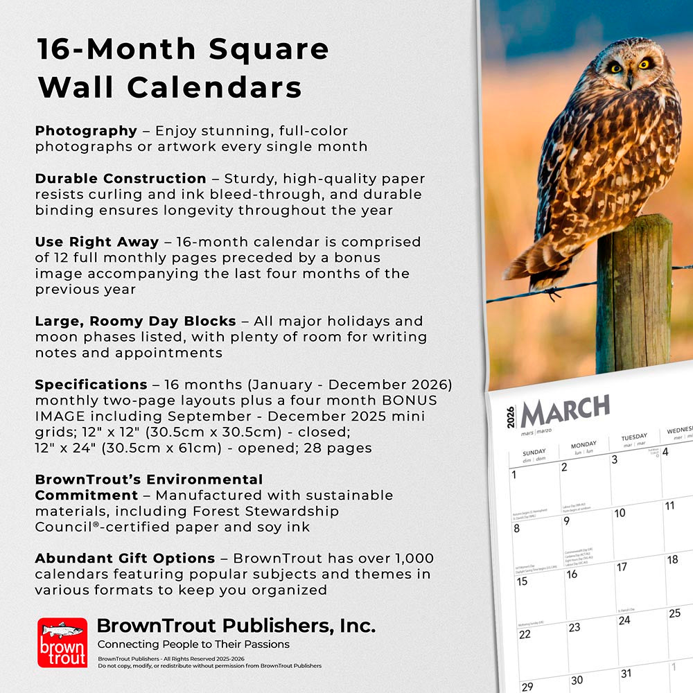 Owls | 2026 12 x 24 Inch (Hanging) Monthly Square Wall Calendar