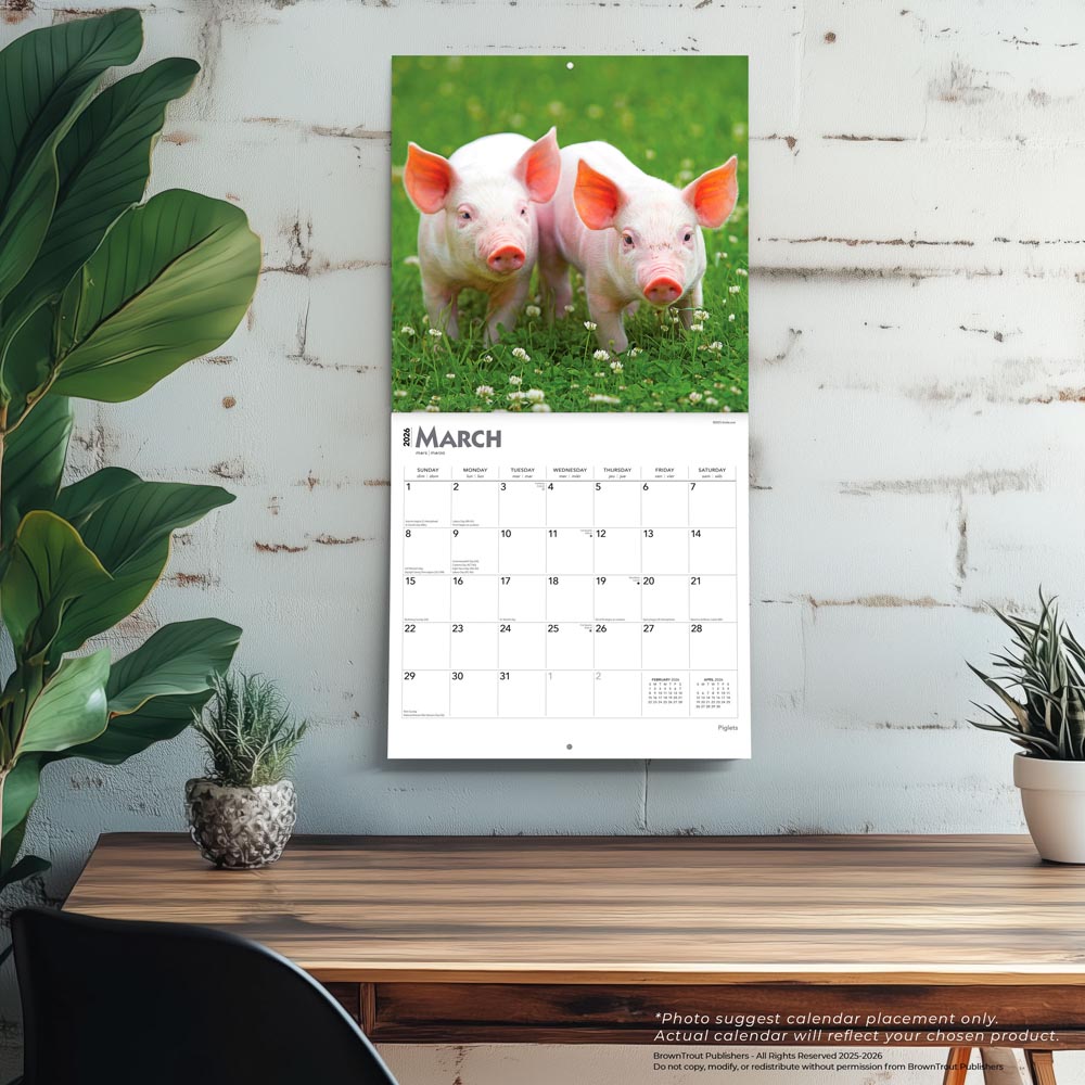 Piglets | 2026 12 x 24 Inch (Hanging) Monthly Square Wall Calendar
