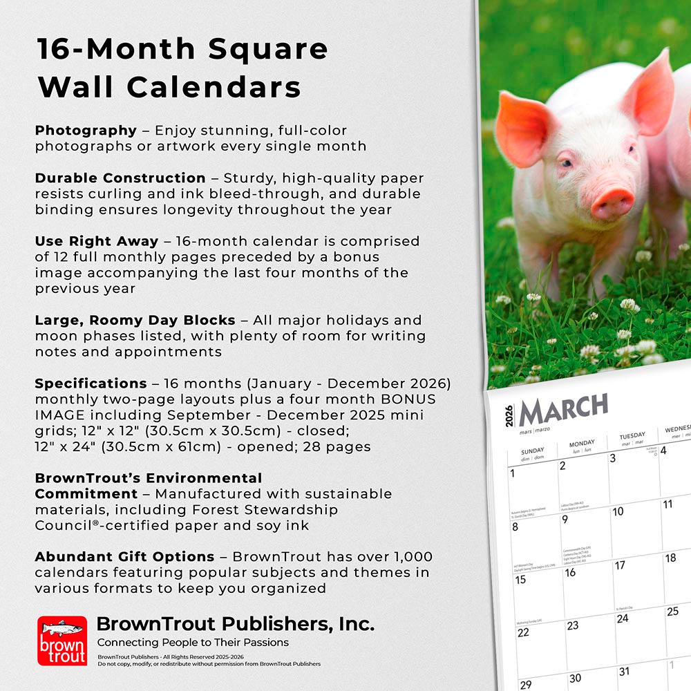 Piglets | 2026 12 x 24 Inch (Hanging) Monthly Square Wall Calendar