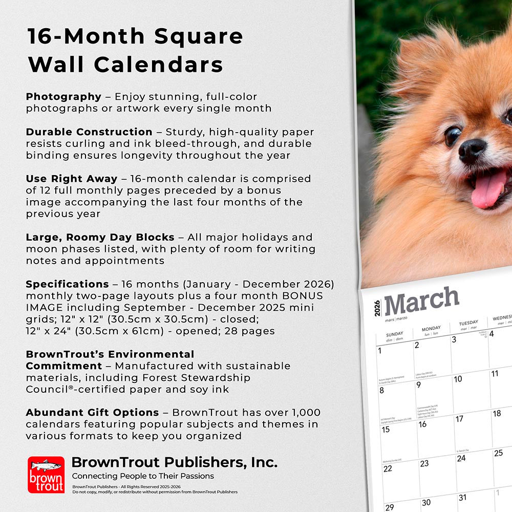 Pomeranians | 2026 12 x 24 Inch (Hanging) Monthly Square Wall Calendar