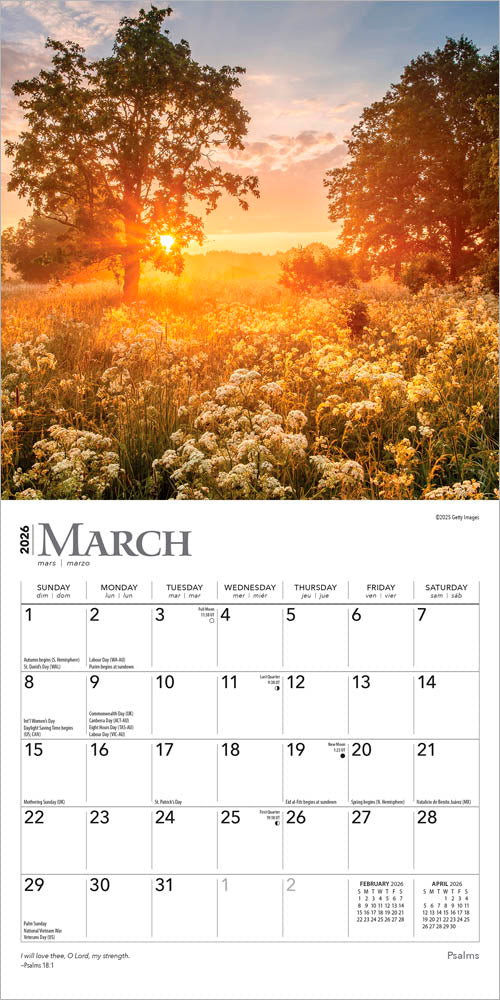 Psalms | 2026 7 x 14 Inch (Hanging) Monthly Mini Wall Calendar