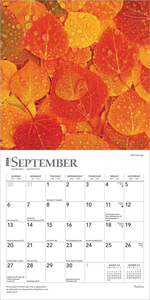 Psalms | 2026 7 x 14 Inch (Hanging) Monthly Mini Wall Calendar