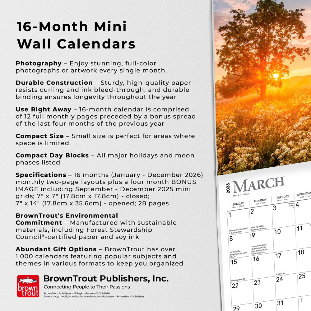 Psalms | 2026 7 x 14 Inch (Hanging) Monthly Mini Wall Calendar