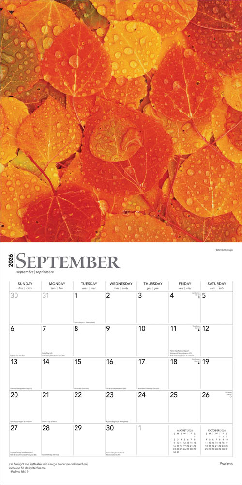 Psalms | 2026 12 x 24 Inch (Hanging) Monthly Square Wall Calendar