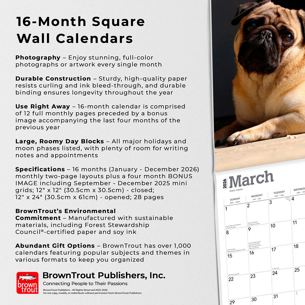 Pugs | 2026 12 x 24 Inch (Hanging) Monthly Square Wall Calendar