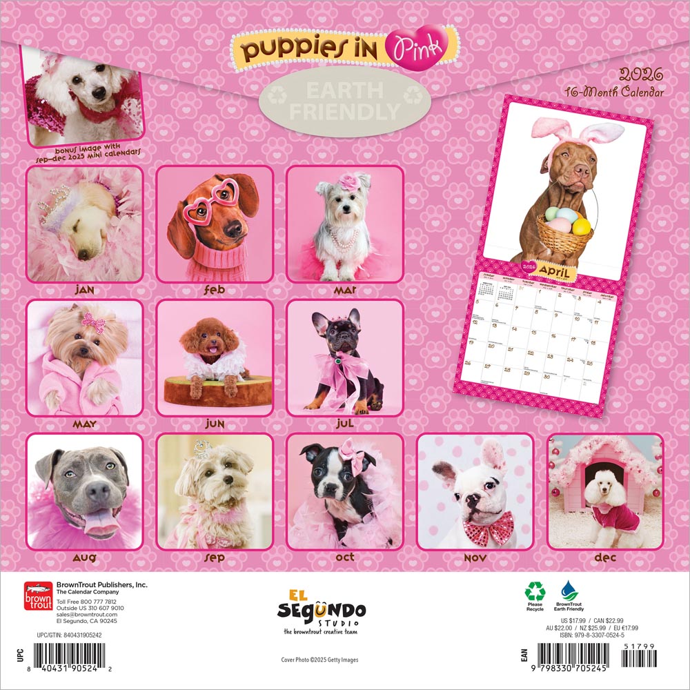 Puppies in Pink | 2026 12 x 24 Inch (Hanging) Monthly Square Wall Calendar