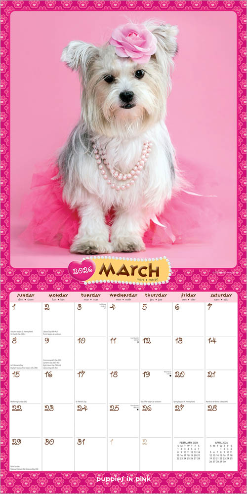 Puppies in Pink | 2026 12 x 24 Inch (Hanging) Monthly Square Wall Calendar
